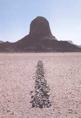 LONG_sahara_line
