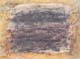 FAUTRIER_herbes
