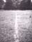 LONG_line_made_by_walking_1967